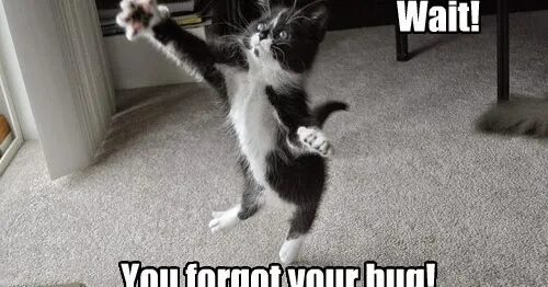 Making you wait. Cat wait are you meme. cat wait are you. deluxe hugs meme. как перевести wait hugs.