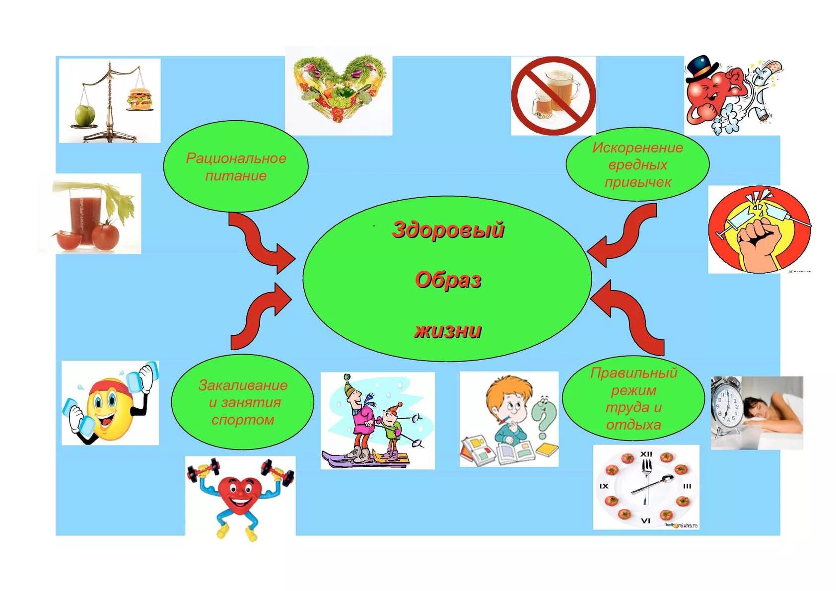 Здоровый образ жизни для детей 1 класса