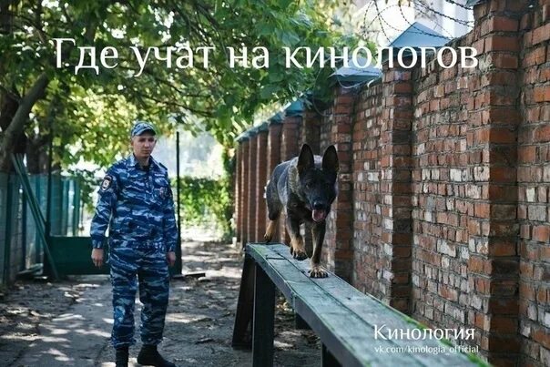 кинолог колледж. василий бахман кинолог. какие предметы на кинолога после 11. беседа с кинологом. николай юрьевич савгачев кинолог нижнекамск.