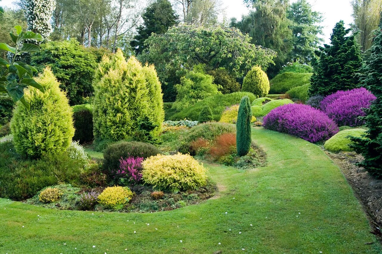 туя смарагд ниваки. миксбордер с лиственницей плакучей. туя колоновидная живая изгородь. сад леонардсли в англии. лучшая декоративная.