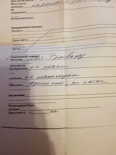 Соскоб на грибок