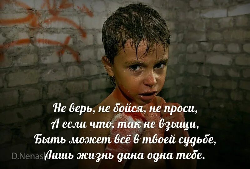 Попроси картинку. Не верь не бойся не проси. Не верь не бойся не проси откуда это выражение. Не верь не бойся не проси стих. Не верь не бойся не проси цитаты.