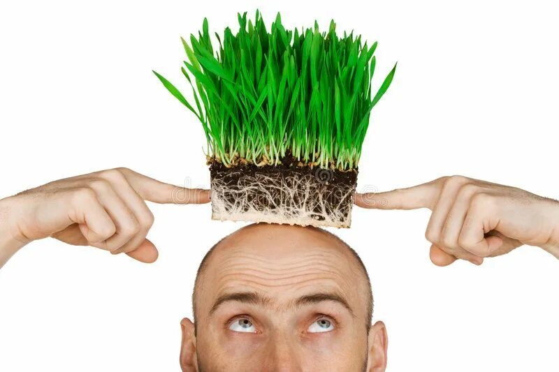 Голова трава фото Господин grasshead-веселый вода рост наука садоводство парикмахерских игрушка пр