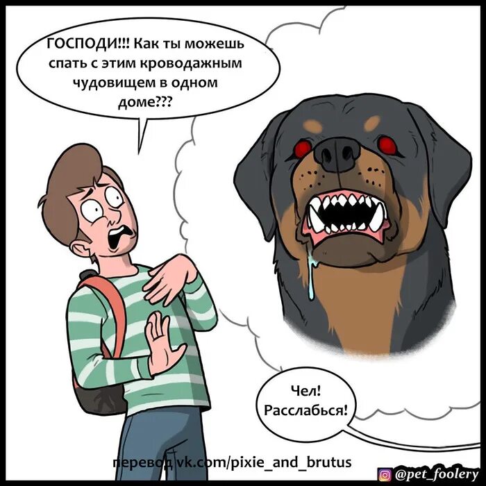 Эволюция собак мемов играть. Ротвейлер мем. смешные комиксы про собак. ротвейлер демотиваторы. ротвейлер приколы.