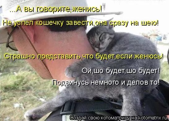 забавные животные с цитатами. где ее завести. давай сделаем ребенка. завести с кривого. шутки про автомобили.