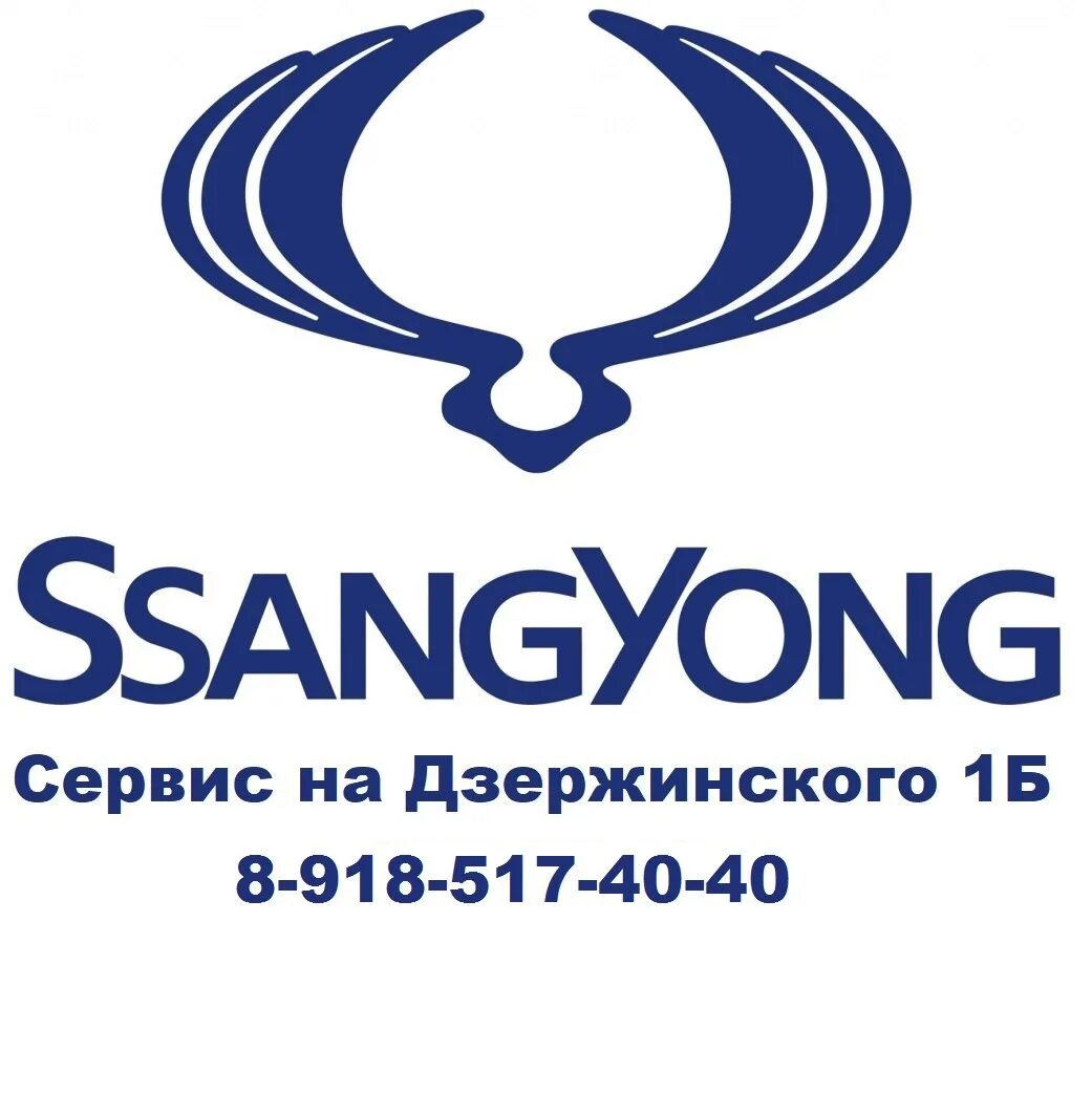 Сервис актион. SSANGYONG сервис. Эмблема Санг енг. Логотип фирмы Ssang Yong. ССАНГЙОНГ машина значок.