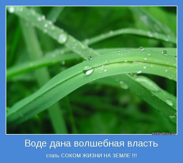 В солнечном дали воду. Вода мотиватор. Вода сок жизни. Сок жизни на земле.