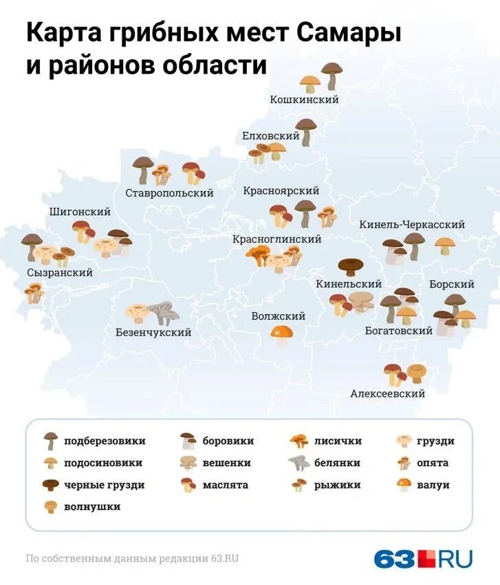 Грибные места в наро-фоминском. Грибная карта подмосковья. Грибные места подмосковья на карте. Грибные места в казани 2024. Грибные места в казани 2024.