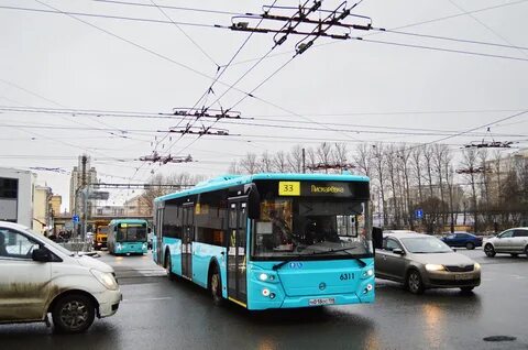 Автобус 486 спб