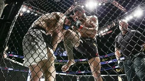 But fight