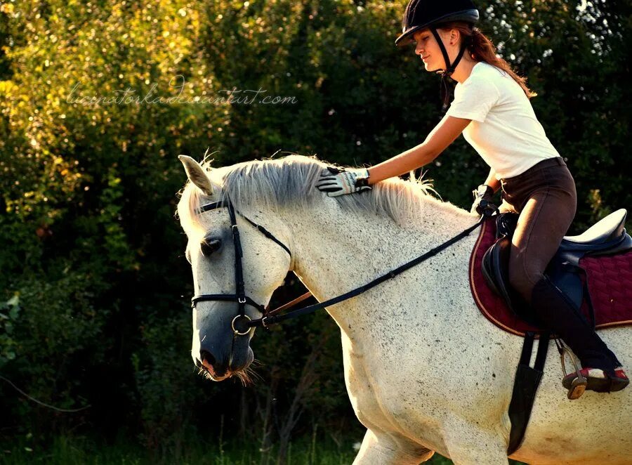 Конная прогулка для двоих. Видеозаписи riding lovers. Ridding или riding. Девушка сверху наездница. Видеозаписи ридинг понибой.