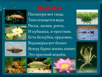 Что значит пресный