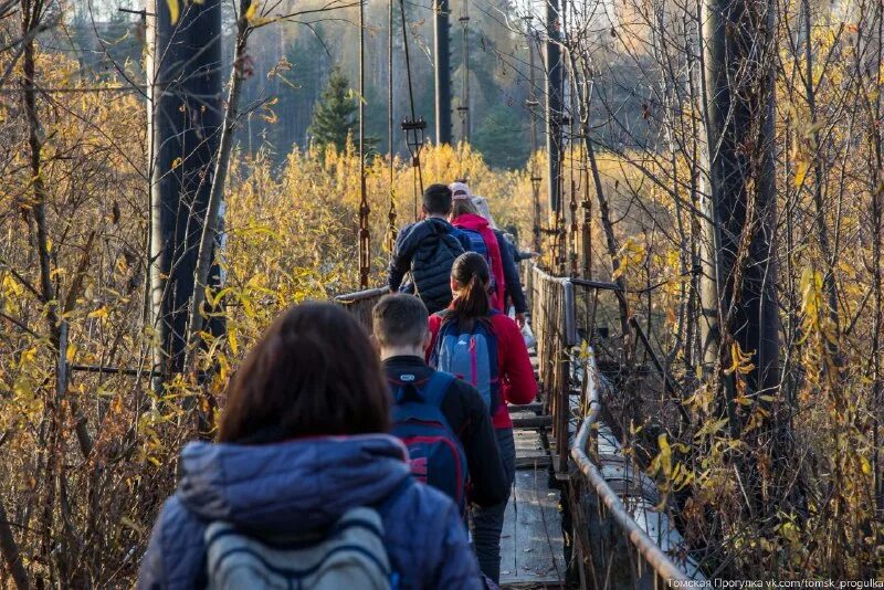 томск экскурсии 2021. орнитологические экскурсии. томская прогулка. томск прогулка. томская прогулка.