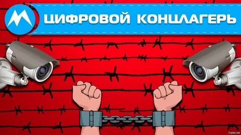 Цифровой концлагерь