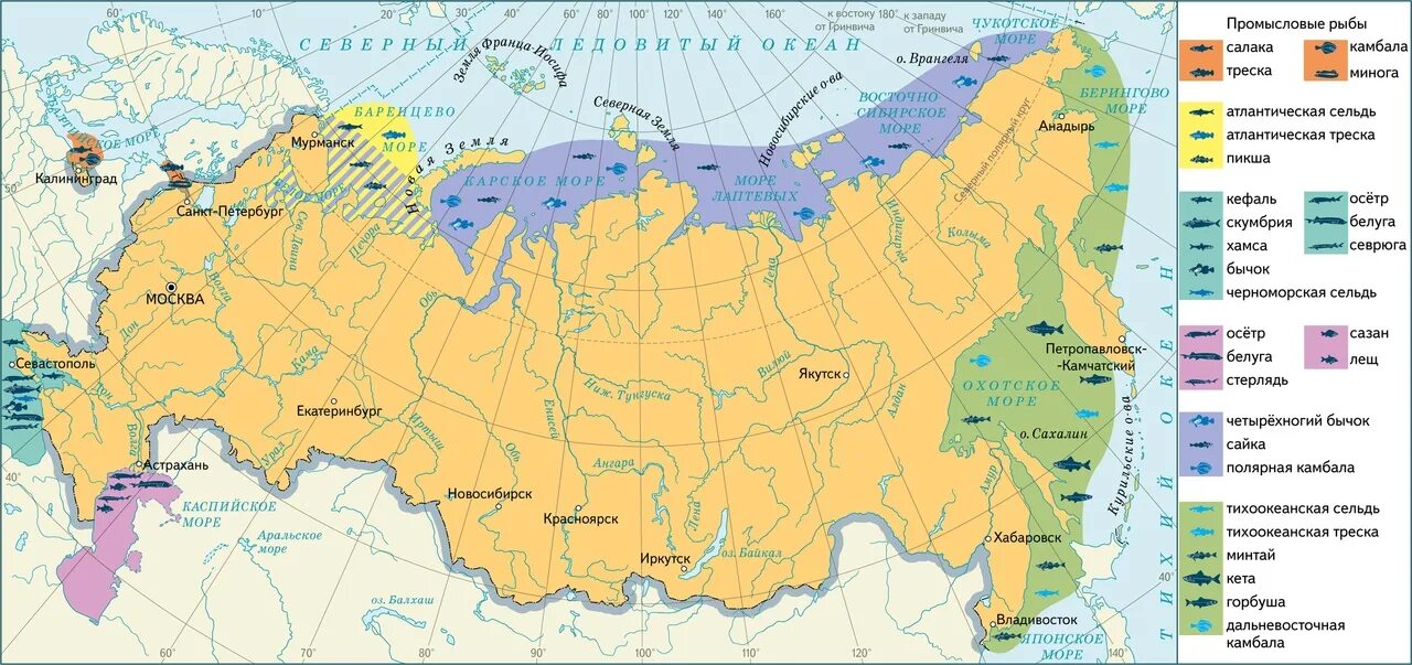 Назови 5 морей россии. Карта российских морей. Моря России на карте с названиями. Карта морей России географическая. Моря России 8 класс география.