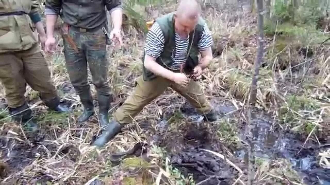 Тащат из болота