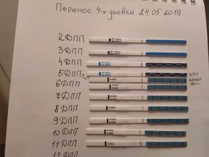 Что происходит на 7 день после