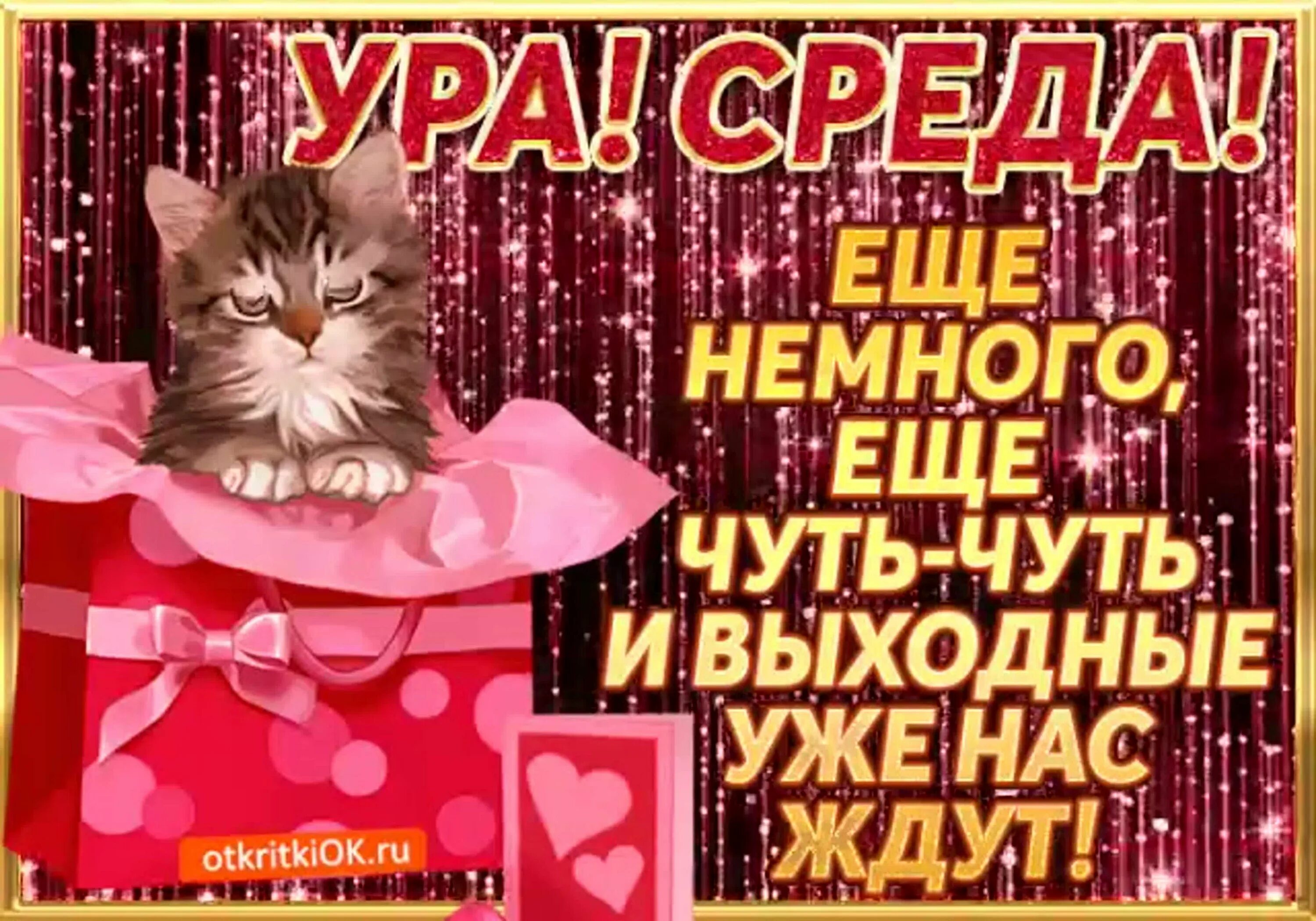 Утро среды прикольные смешные. Поздравление со средой. Открытки со средой прикольные. Открытки ура среда. Доброе утро среда прикольные.