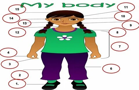 Our bodies