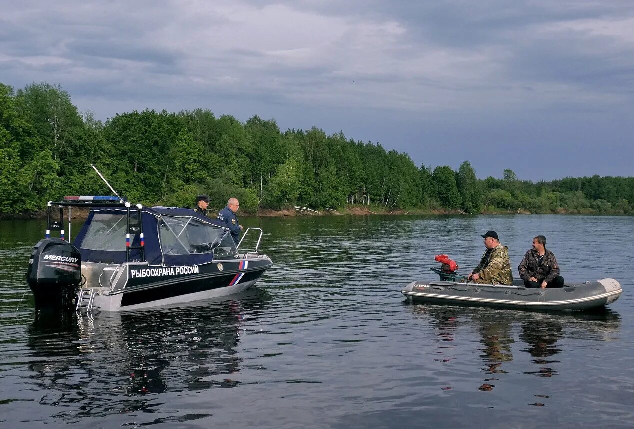 московско-окское территориальное управление. скопинцев сергей владимирович росрыболовство. ферма форели ярославль. руководитель московско окского территориального управления. московско-окское территориальное управление росрыболовства.