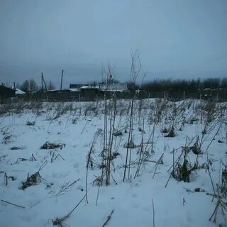 Погода в яльгелево