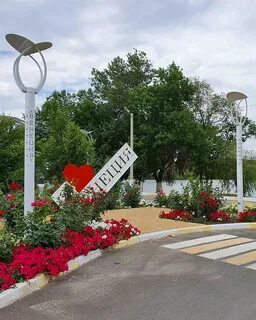 Каменск шахтинском подсолнух