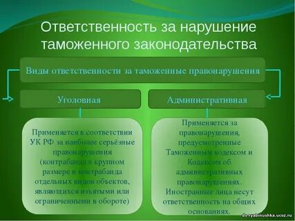 Виды административных таможенных правонарушений