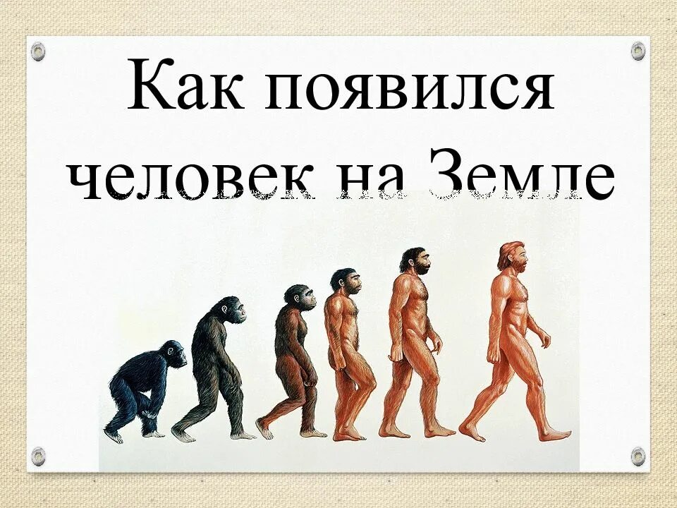 Сколько лет человечеству. Как появился человек. Как появился человек на земле. Как прявились людитна хемле. Откуда появились люди.