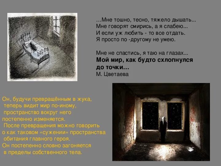 Кафка замок содержание. Кафка превращение. кафка метаморфозы.