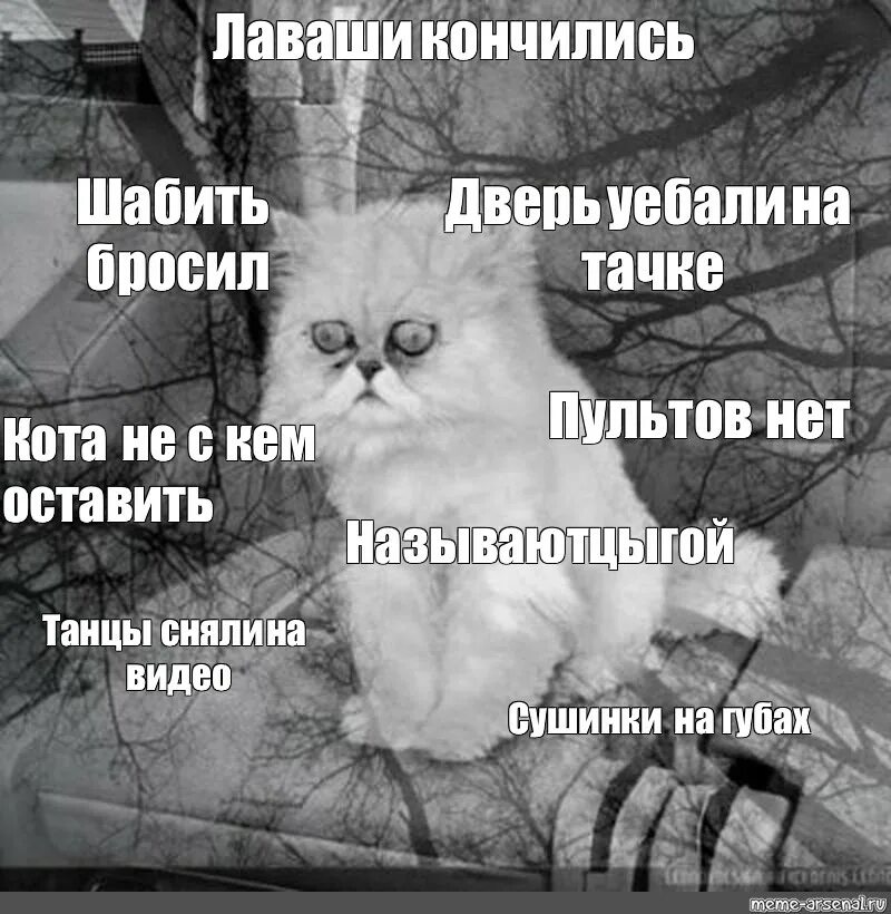 Не с кем оставить кота. Не шабить. Шабить будешь. Мем ходить шабить. Песня люблю тебя больше чем курить шабить