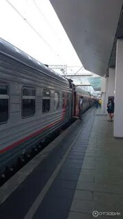 Поезд белгород санкт петербург фото