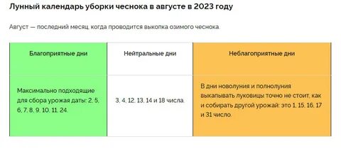 Календарь посадки озимого чеснока