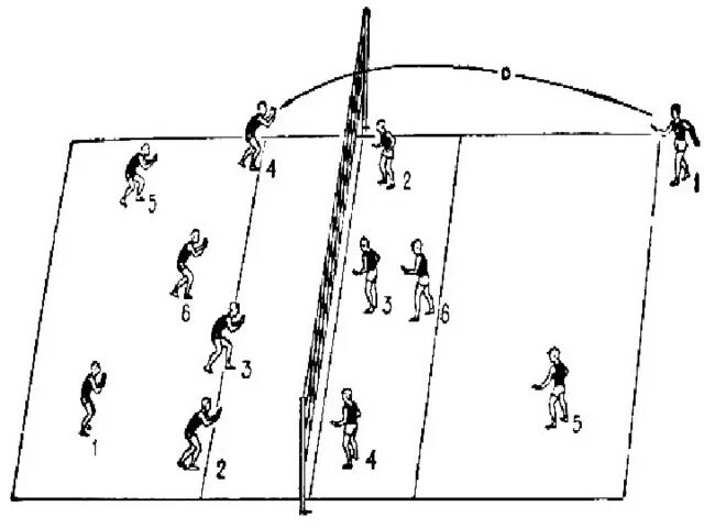 Пионербол расстановка игроков. Расположение игроков на волейбольной площадке. Расстановка игроков в волейболе. Расстановка на волейбольной площадке.