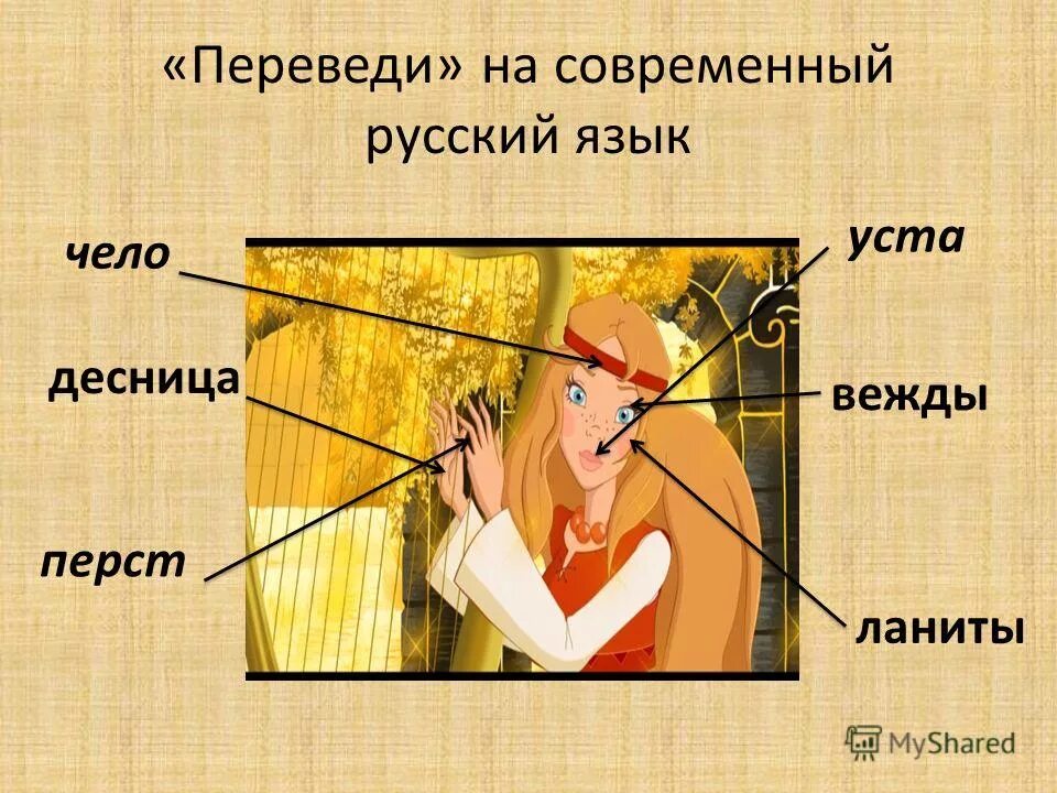 Левая рука по старославянски. Вежды устаревшее. Вежды устаревшее. Вежды устаревшее. Длани ланиты.