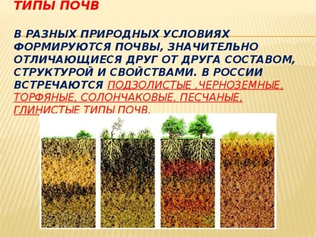 Главное богатство железные руды и плодородные почвы. Почвы России их состав. Типы почв. Породы почв. Почва типы почв.