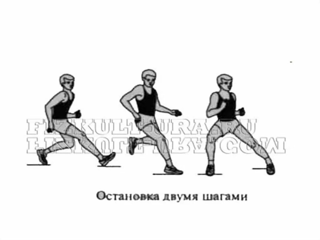 В нескольких шагах предложение