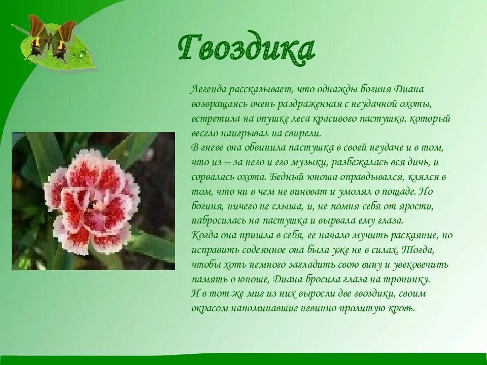 Легенды о растениях и животных. Легенда о цветке. мифы и легенды о цветах. короткие легенды о цветах. интересный рассказ о цветах.
