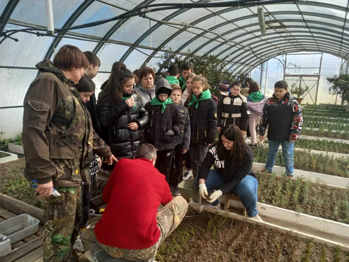 Тверская Апшеронский район. Лесхоз техникум Апшеронск. Станица Тверская Апшеронский район Краснодарский край.