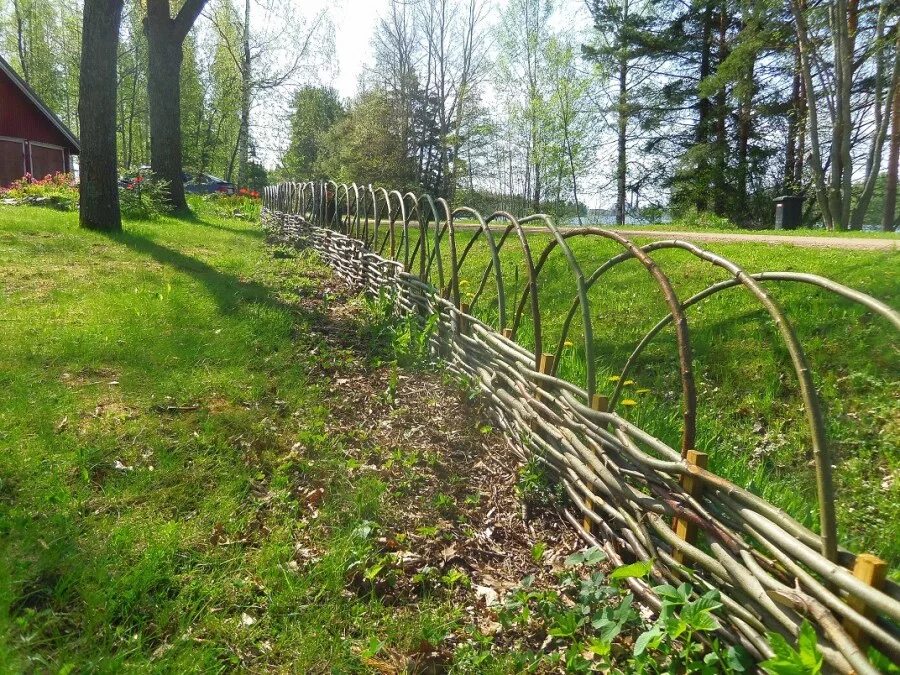 Тин з. Заборчик из лозы ивы. Лоза ивы плетень. Ивовая изгородь плетень. Плетень ивовой лозы.