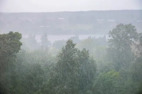 Ливни область