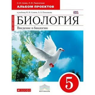 Н и сонина 5 класс