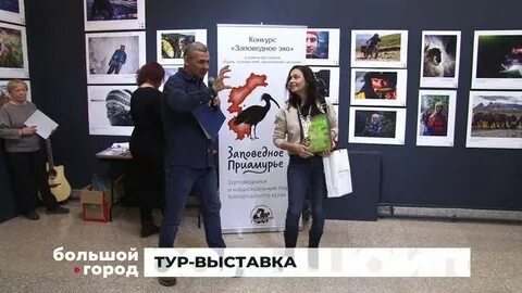 Выставка собак 18 февраля 2024 года