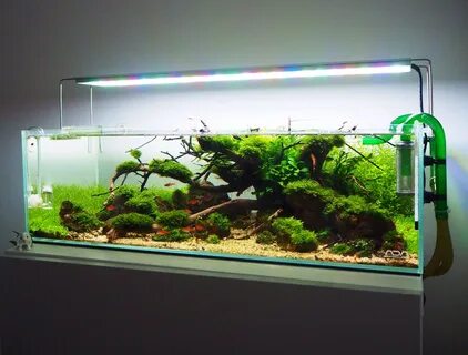 Ada tank 360