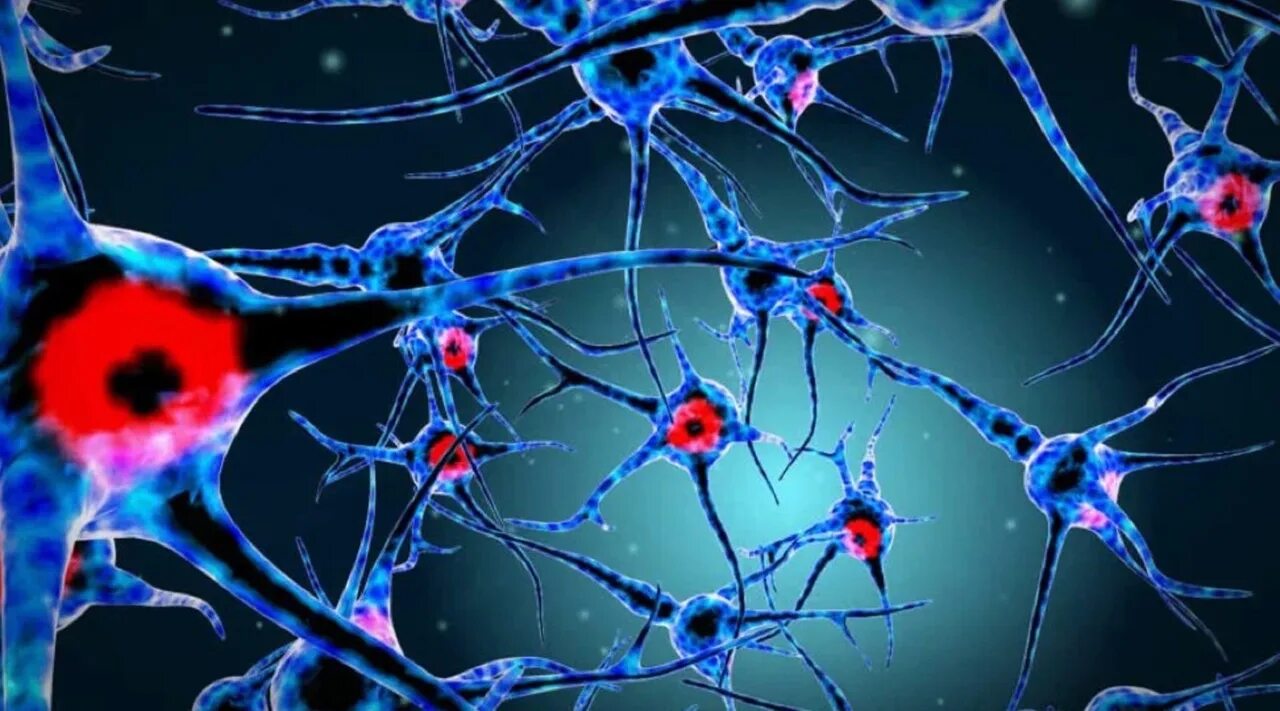 Нервная ткань Нейрон. Нервный Импульс в нейронах. Клетка нейрона. Нейронная ткань.