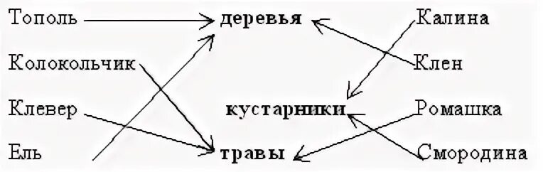 Укажи стрелками к каким группам