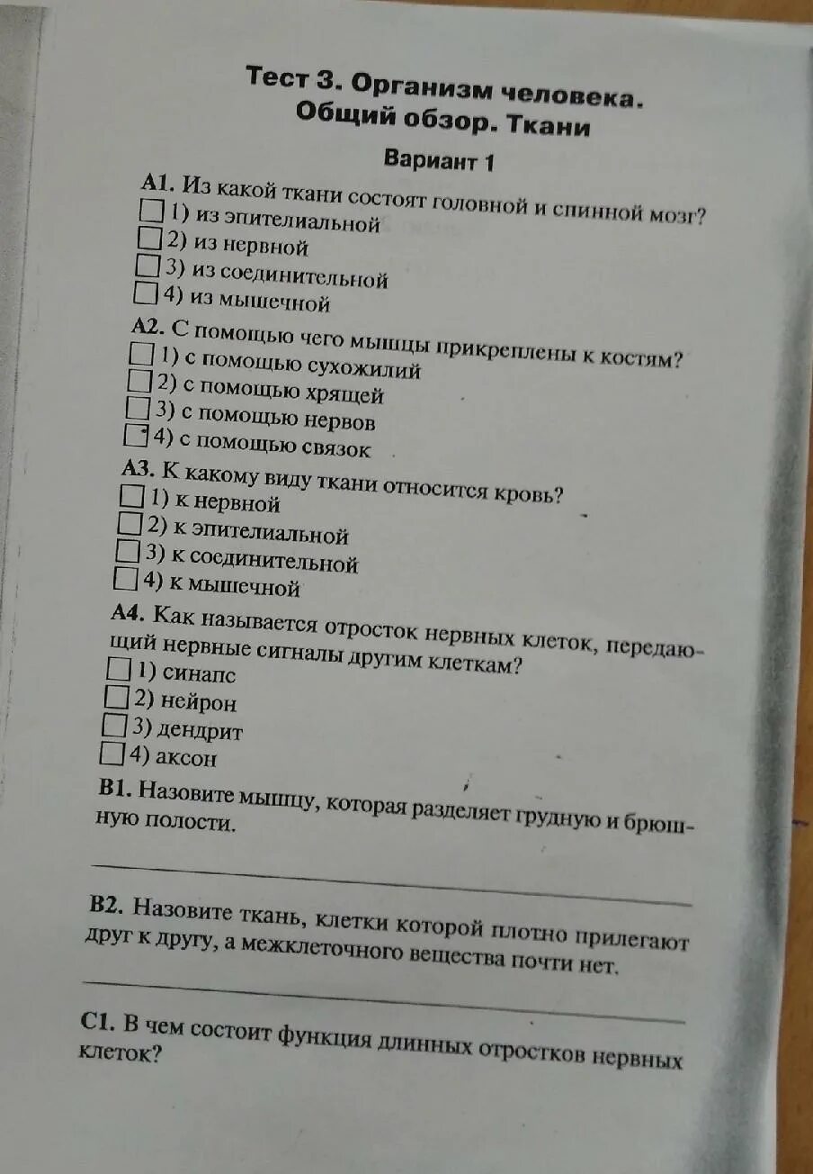 Тест 8 класс клетка. Тест по биологии ткани организма человека. Общий обзор организма человека тест. Контрольная работа общий обзор организма человека. Проверочная работа организм человека общий обзор.