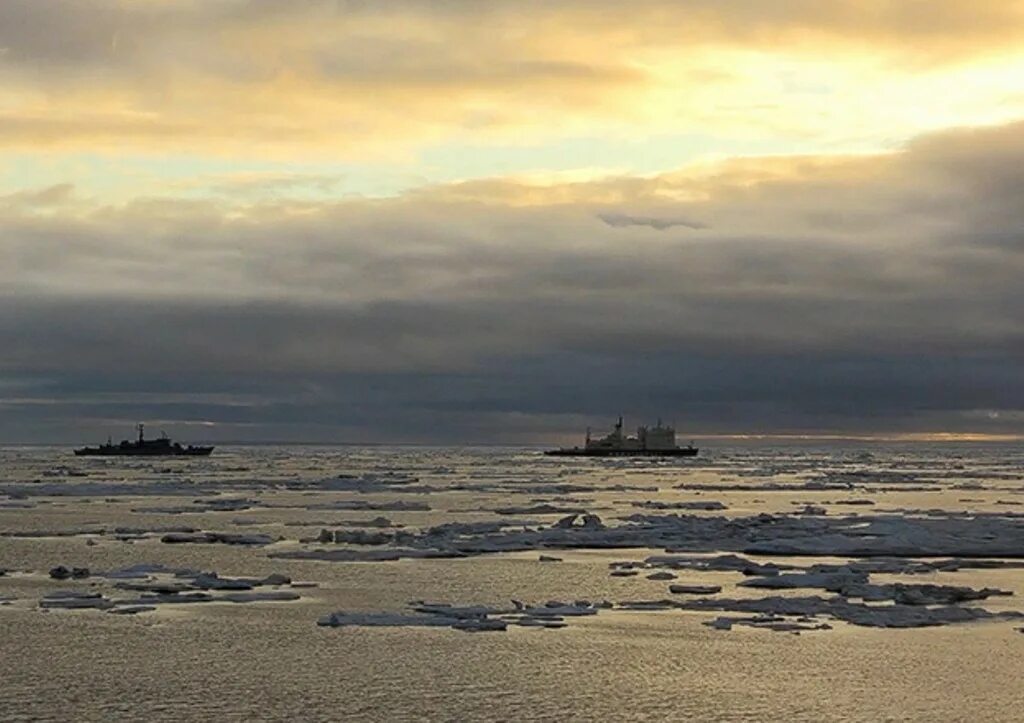 Восточно-сибирском мор. Берег восточно сибирского моря. Восточно сибирское море растения. Восточная сибирь байкал. Сибирь была морем.