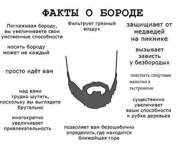 Можно ли военным носить бороду. Хадисы про бороду достоверные. Мусульманам запрещено брить бороду. Типы бородок. Устав можно ли носить бороду.