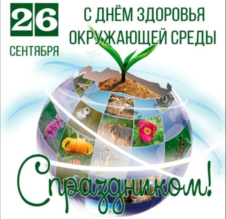 Всемирный день здоровья окружающей среды. Земля здоровье. Всемирный день здоровья окружающей среды 26 сентября. Всемирный день здоровья окружающей среды. Всемирный день здоровья окружающей среды.