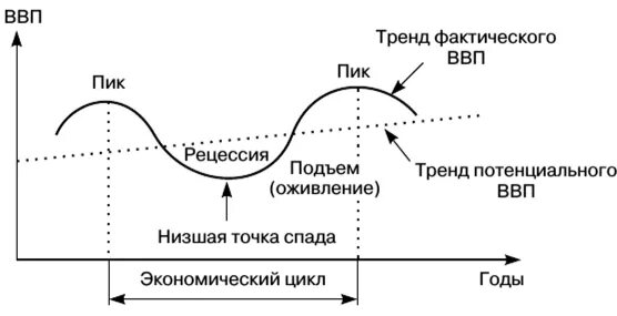Циклы понятие фазы виды. Циклы понятие фазы виды